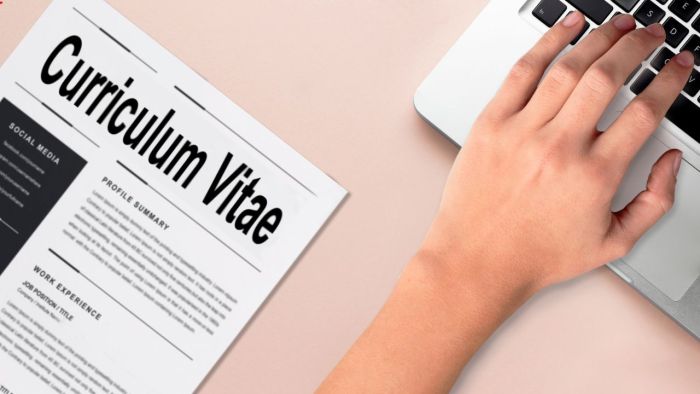 How to Create a Killer Curriculum Vitae: A Step-by-Step Guide